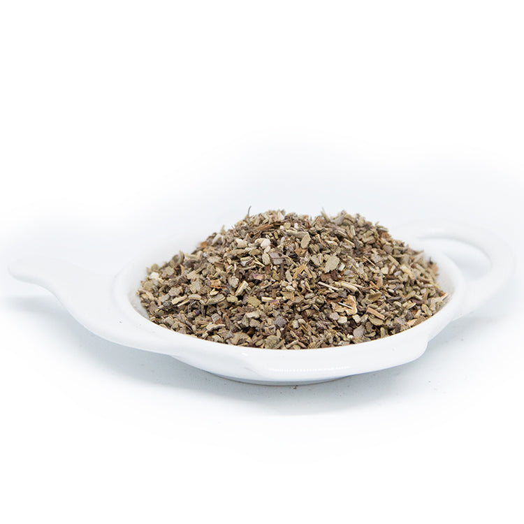 Salvia